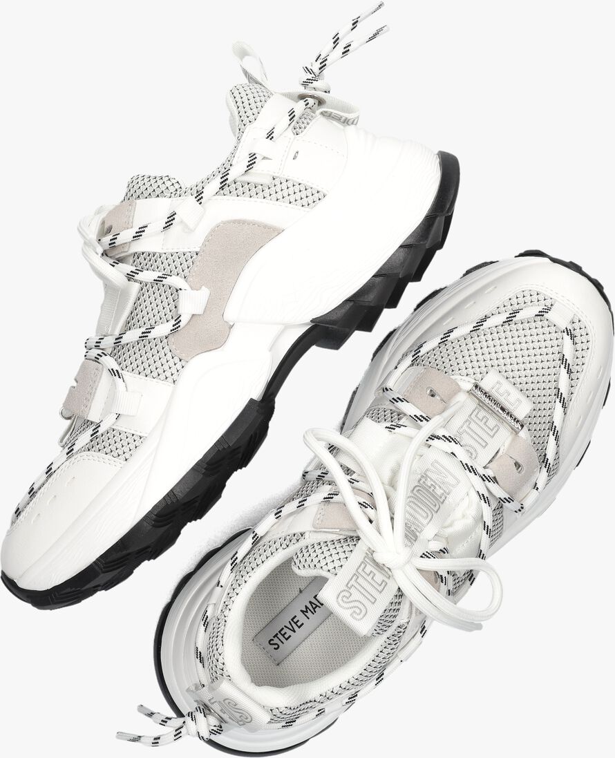STEVE MADDEN witte steve madden lage sneakers tazmania