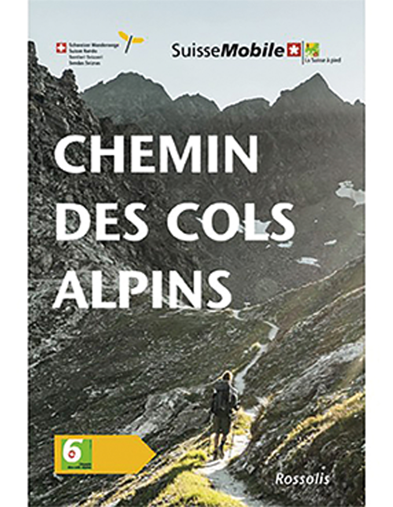 Chemin des cols alpins