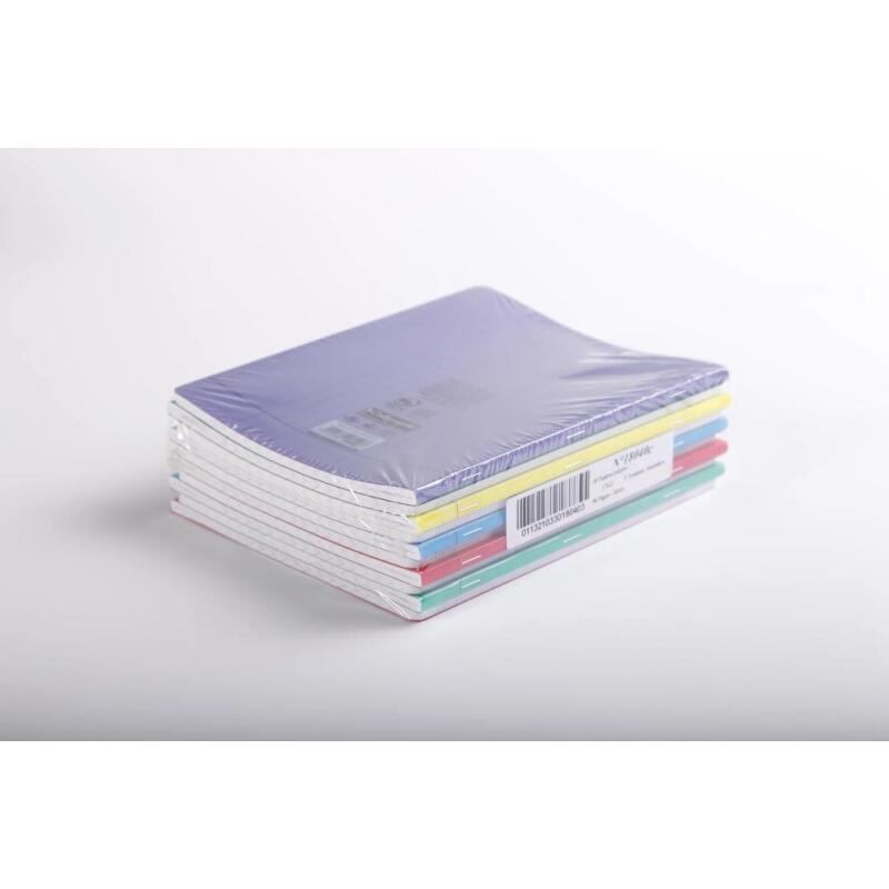 Cahier piqué 8000 POLYPRO 17x22 cm 96 pages grands carreaux 90 g - Assortis