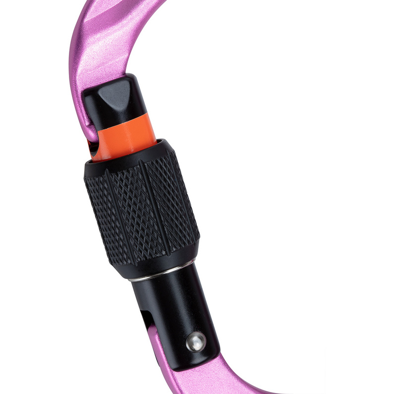 Mammut Classic Screwgate Karabiner