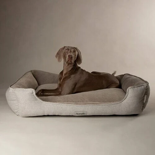 Scruffs Harvard Orthopedisch Box Bed