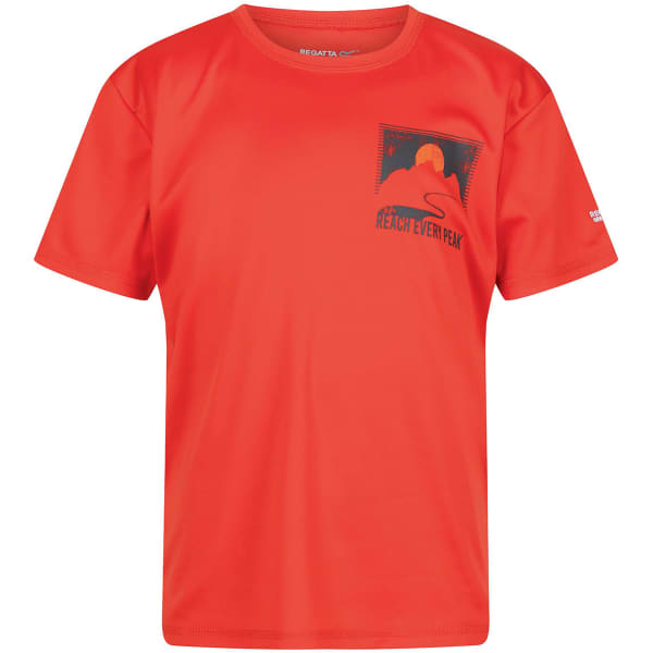 T-shirt randonnée REGATTA ALVARADO VII RUSTY ORANGE