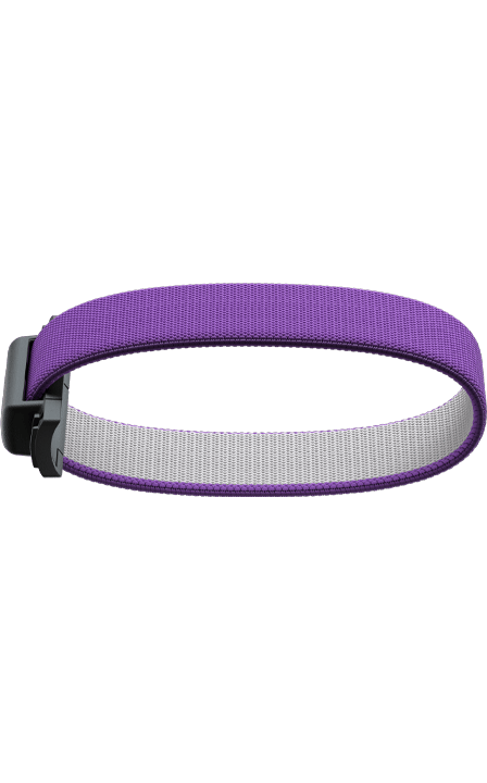 Add-on Bandwallet original