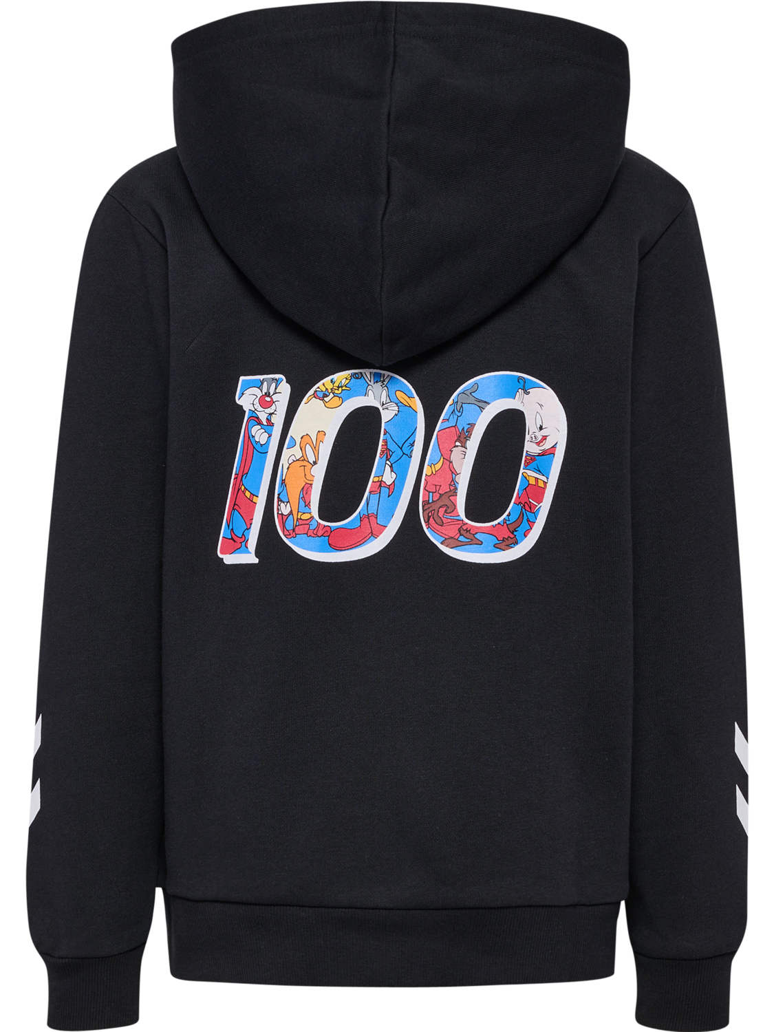 hmlCELEBRATING STORY HOODIE