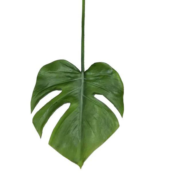 Bahne Interior  Monstera blad, grøn - 68 cm