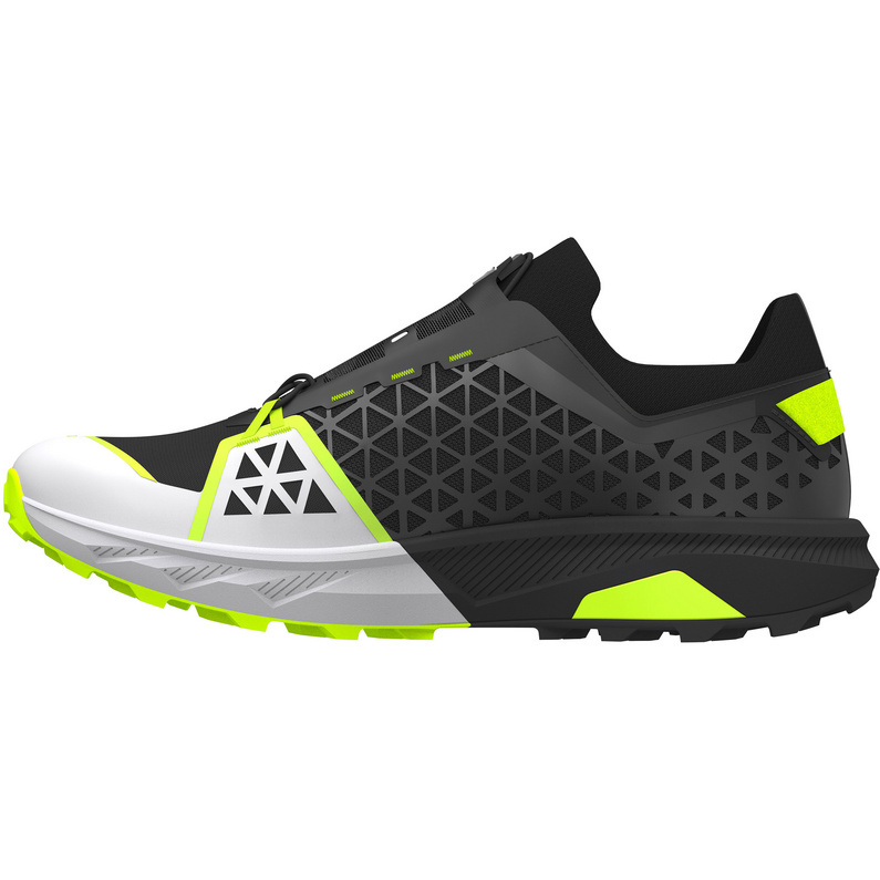 Dynafit Alpine DNA 2 Schuhe
