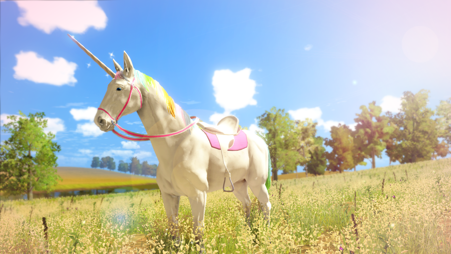 The Unicorn Princess- PlayStation 4