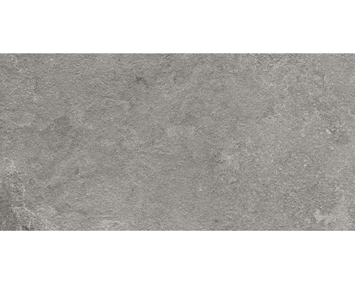 FLAIRSTONE porseleinen terrastegel Luna Silver gerectificeerde rand 100 x 50 x 2 cm