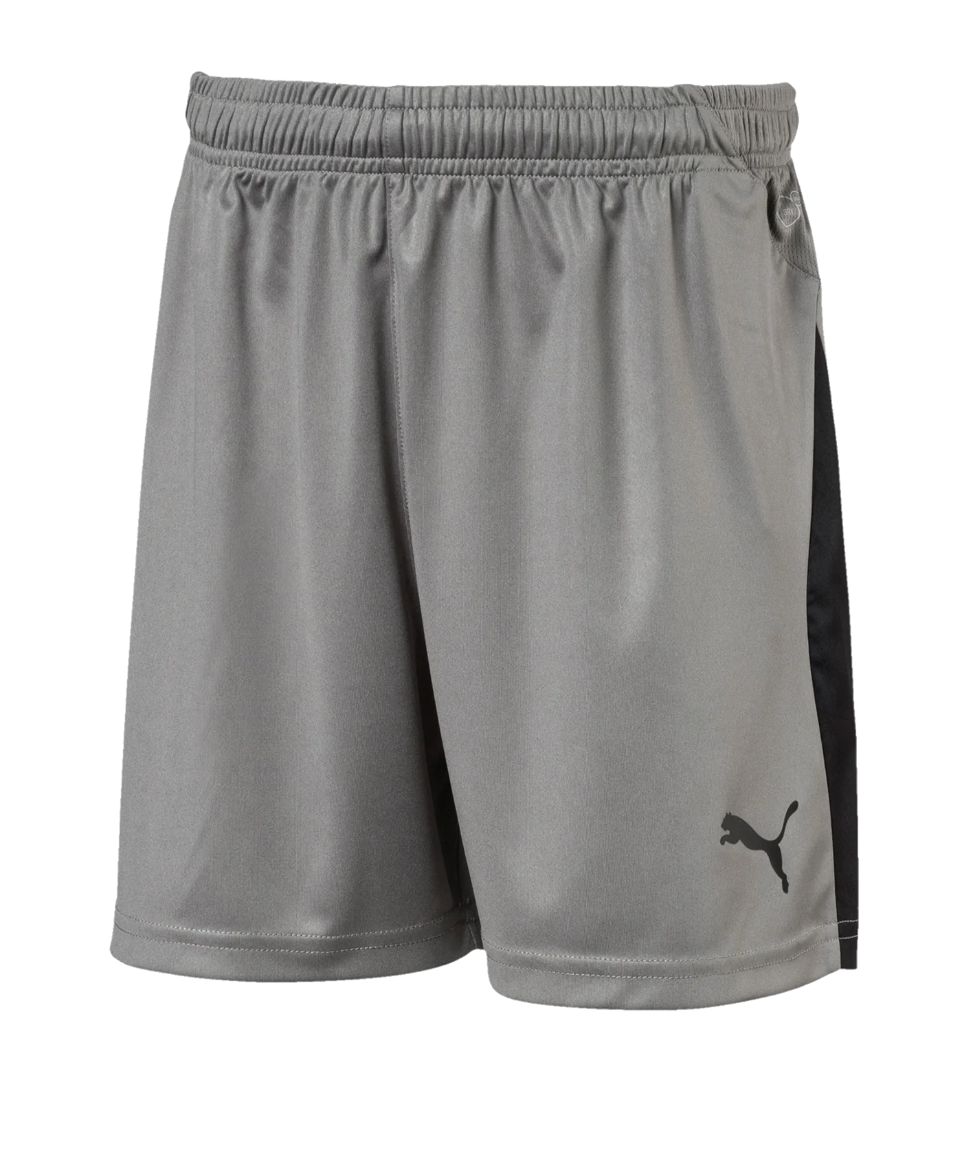 PUMA LIGA Short Kids Grau Schwarz F13