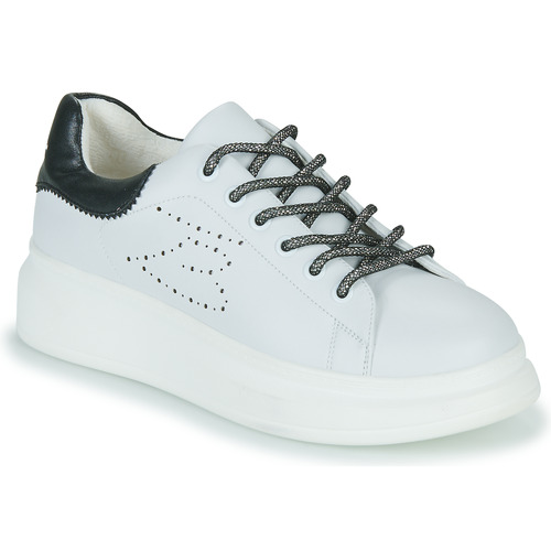 Tosca Blu - ALOE - Blanc / Noir