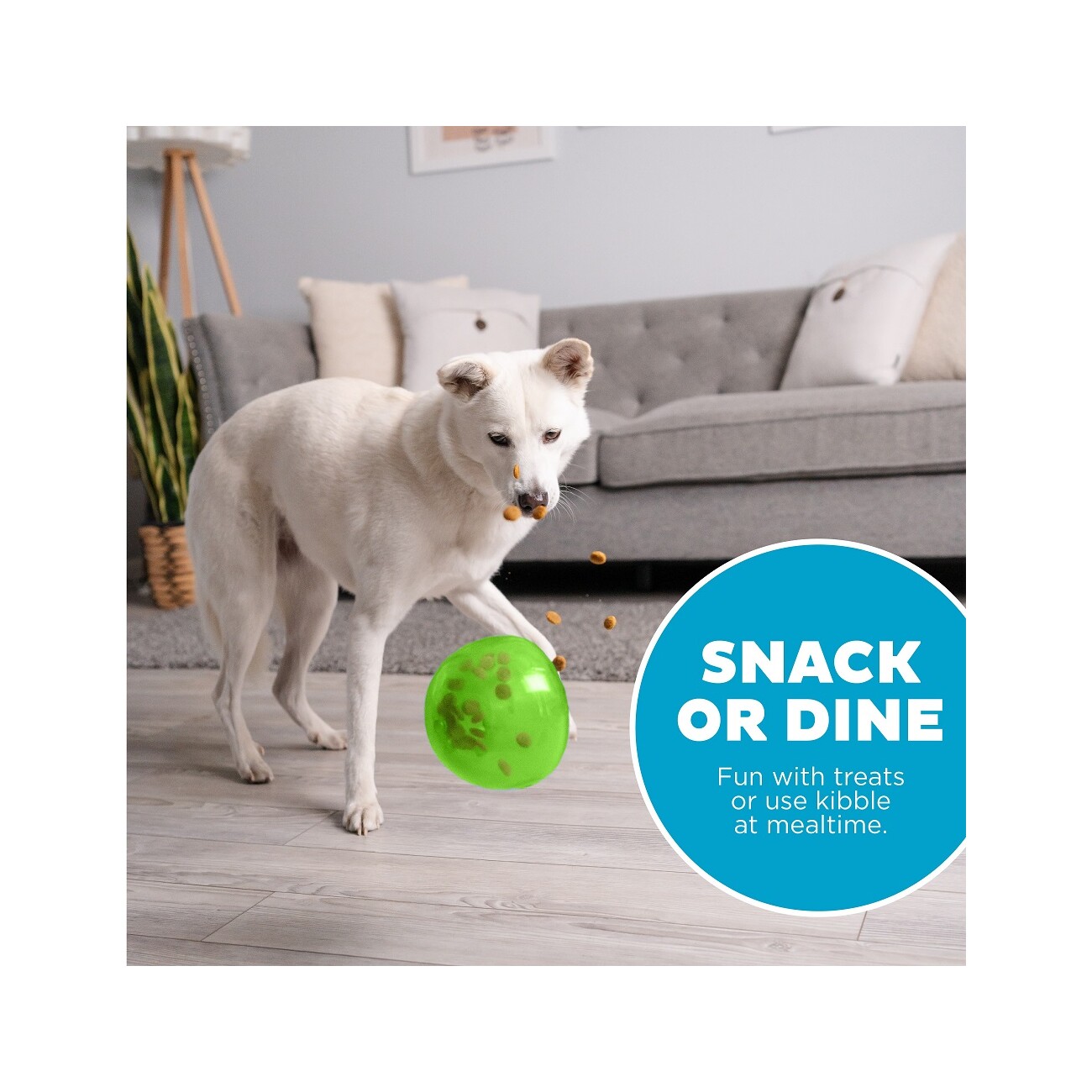 Planet Dog Snoop Hundespielzeug