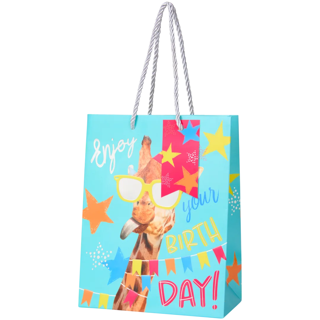 Sac cadeau