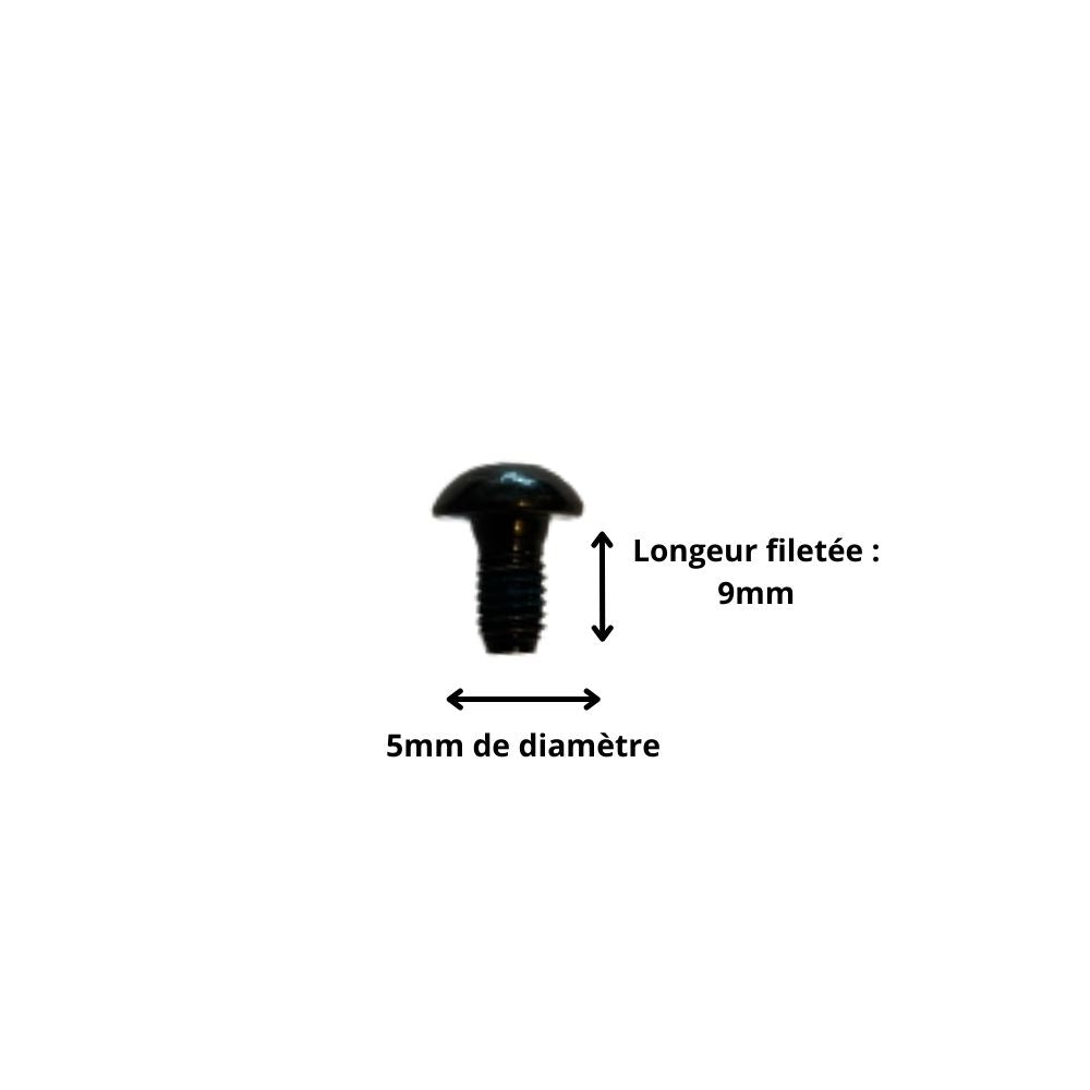 Vis M5x9 à Tête Ronde et Empreinte Allen (Pack de 10)