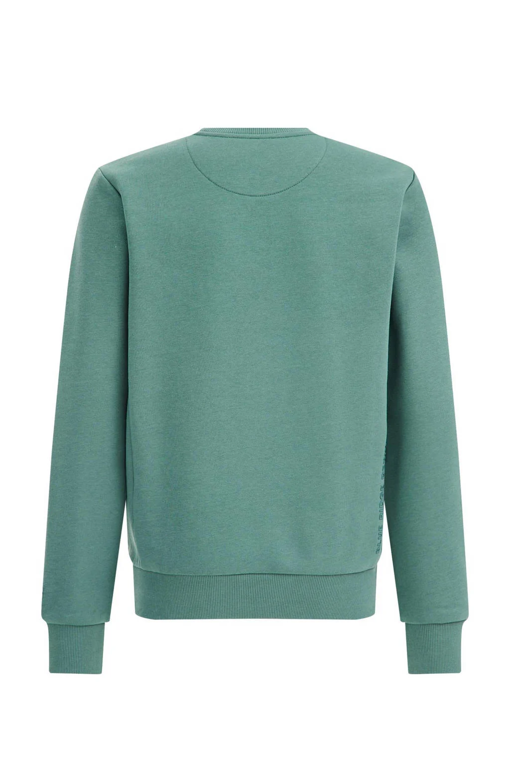 WE Fashion unisex sweater Topaz