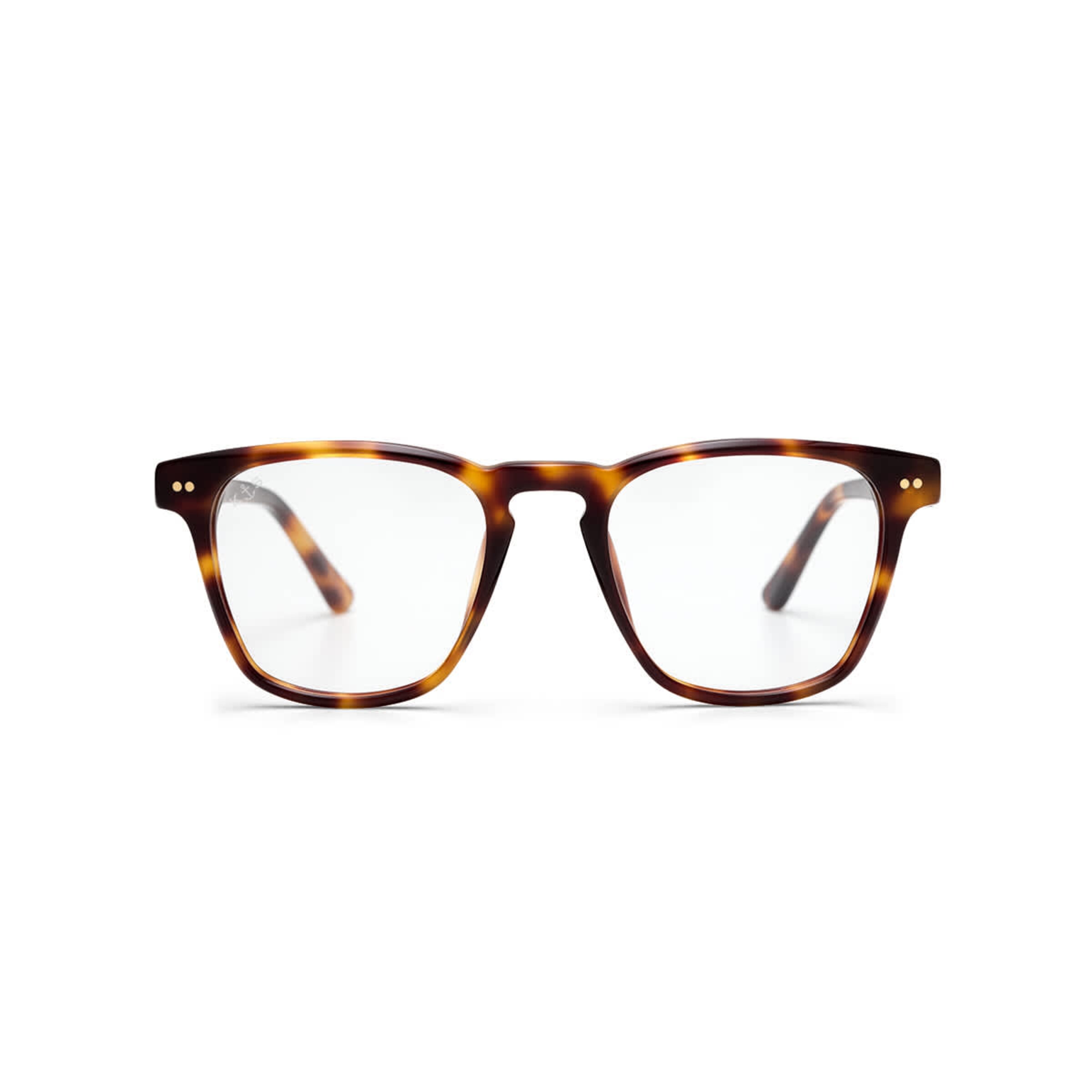 Carlton Shine Tortoise