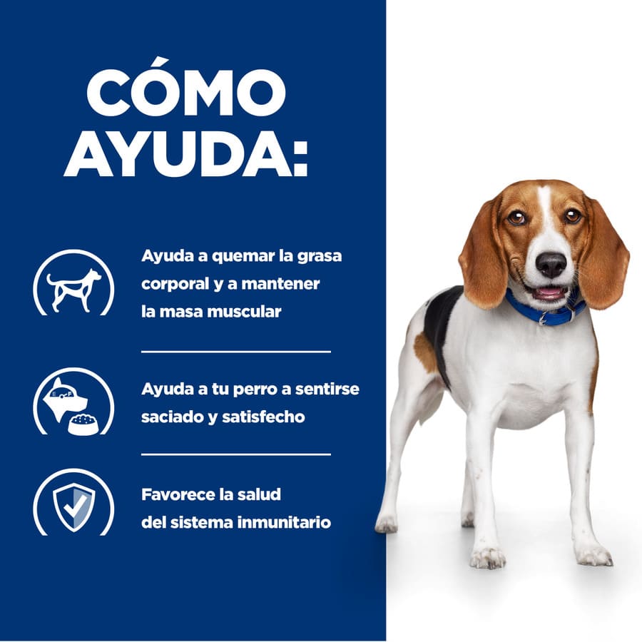 Hill's Prescription Diet Weight Loss r/d Pollo pienso para perros
