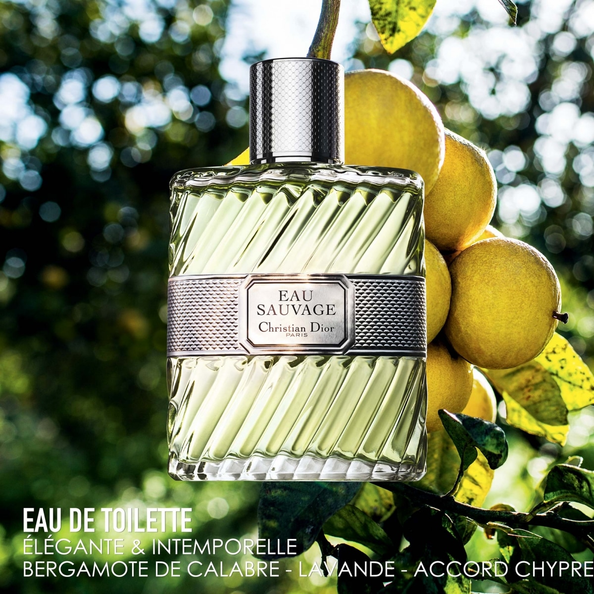 DIOR Eau Sauvage Eau de Toilette