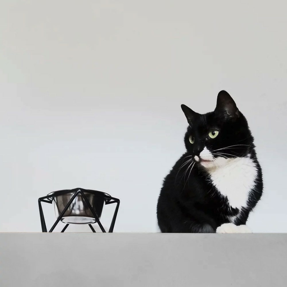 Noise - gamelle surélevée pour chien / chat en acier, socle métal noir