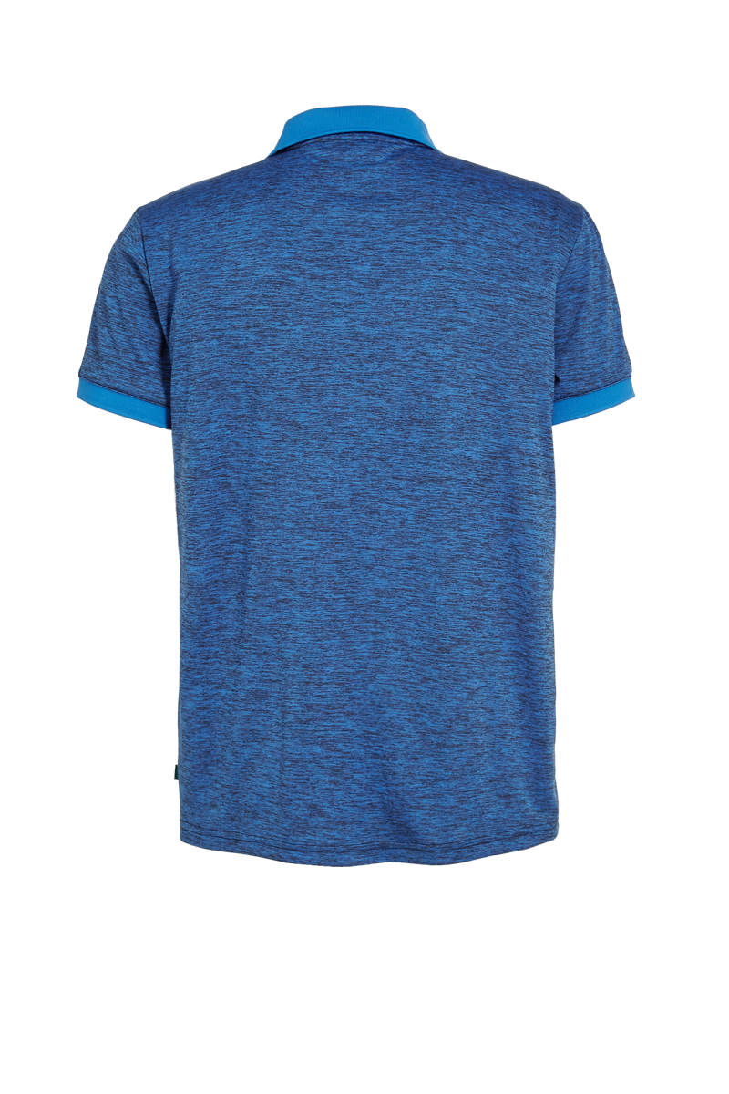 Fons Polo