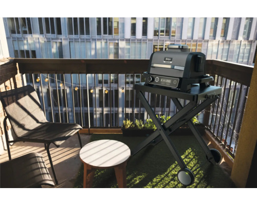 Ninja Woodfire Outdoor Elektrische Grill Heteluchtfriteuse Rookoven, 6 Kookfuncties, 2,4 kW Model OG701