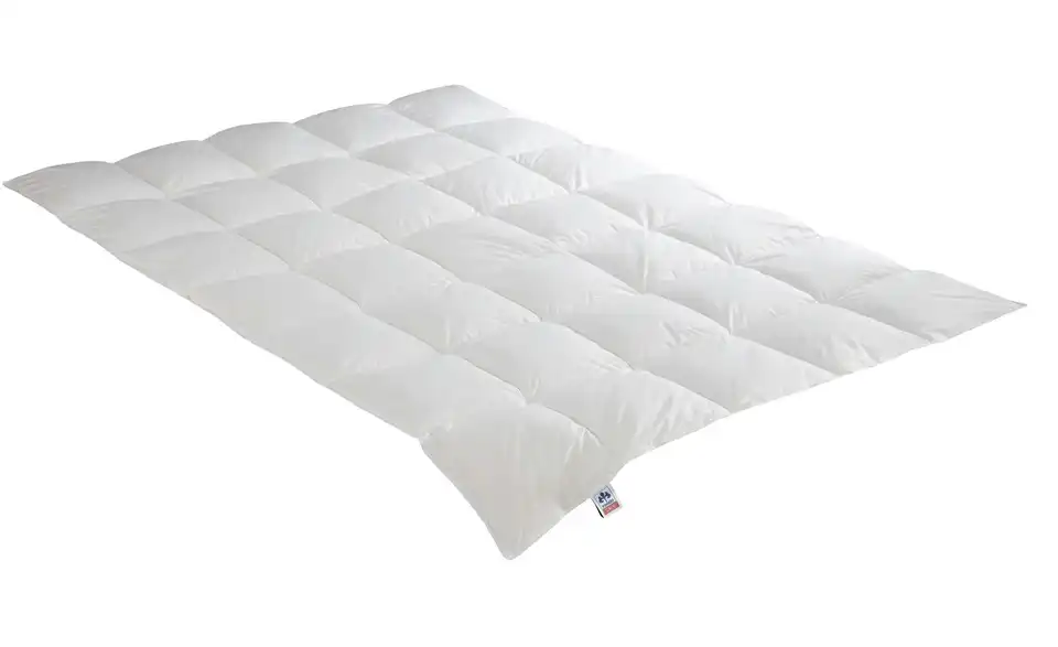 IRISETTE Leicht-Steppbett 200 cm 200 cm 890 g