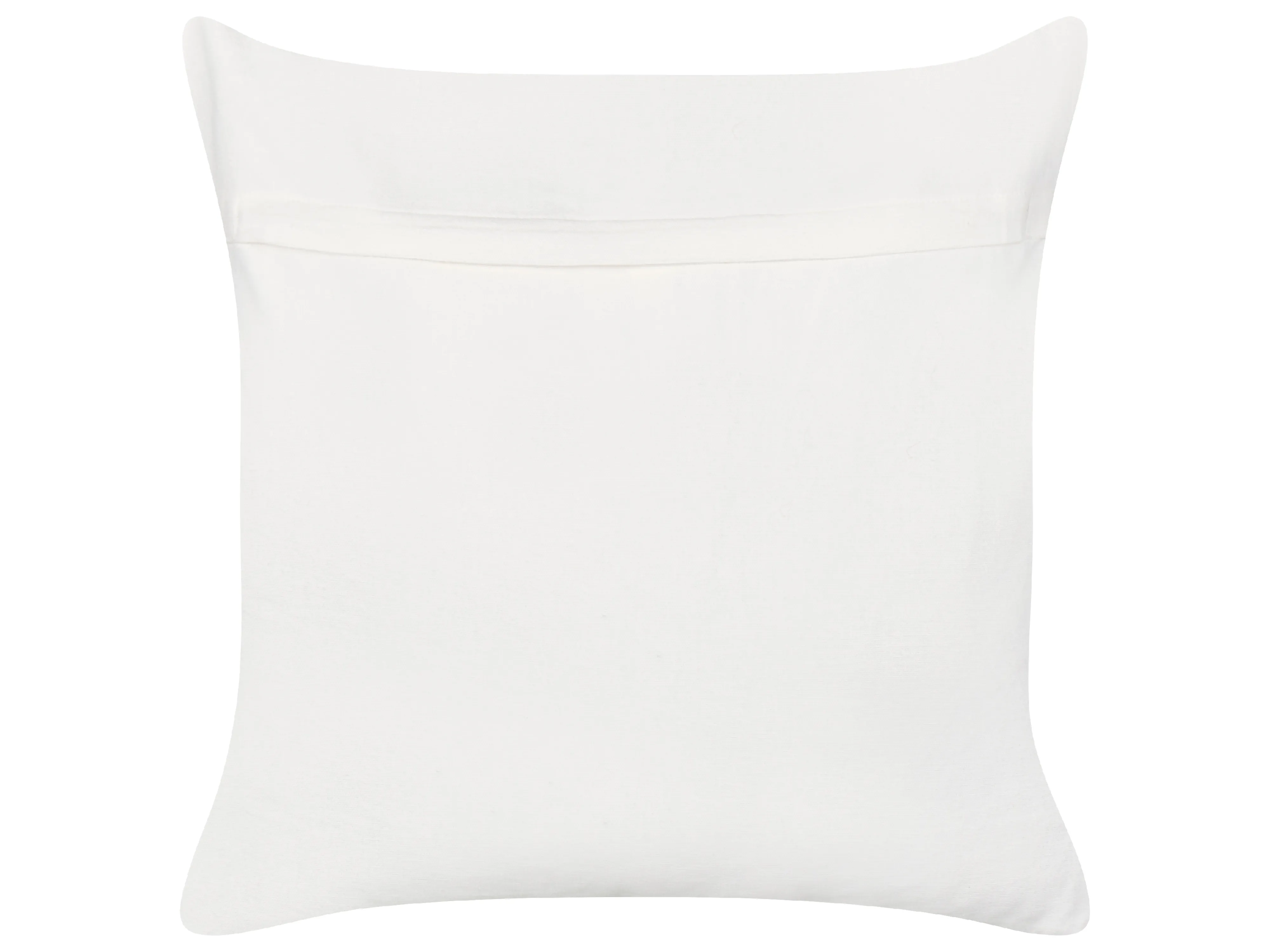 Set van 2 sierkussens JATROPHA Katoen 45 x 45 cm Lichtblauw bloempatroon