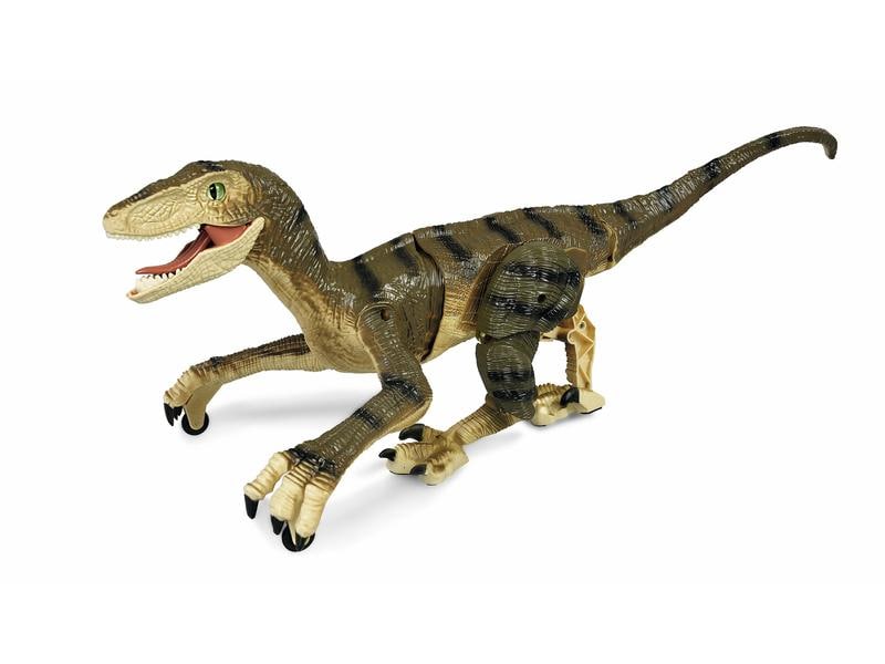 Amewi RC Dinosaurier Velociraptor, Braun RTR Ferngesteuerter Velociraptor Dino