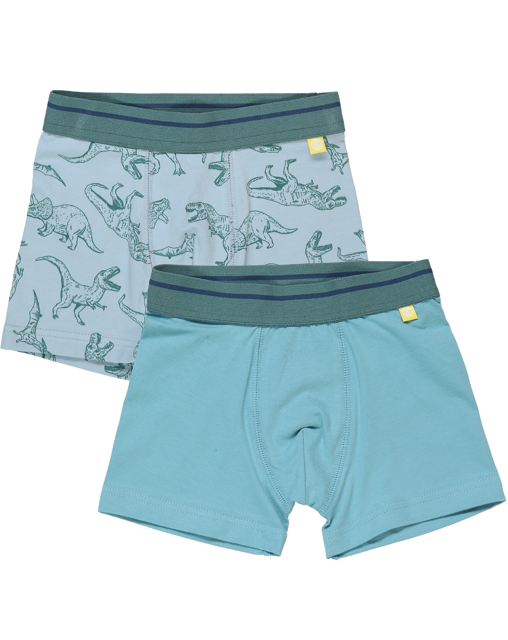 Boxershorts DINO 2er-Pack in blau/grün