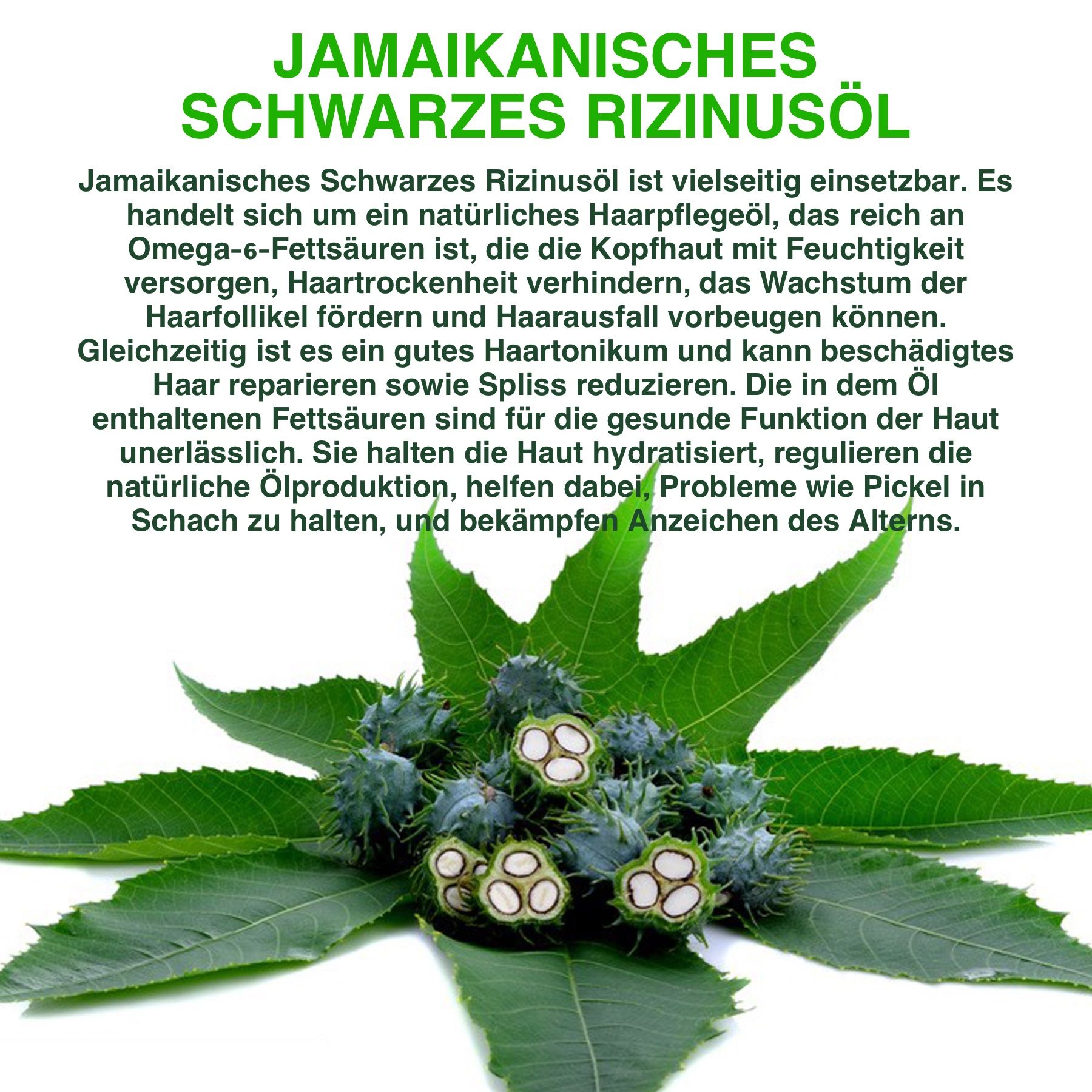 ALIVER Rizinusöl Haaröl für Haarpflege und Haarwachstum