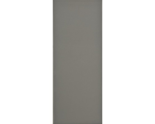 Aardewerk wandtegel Loft gris 20 x 50 cm