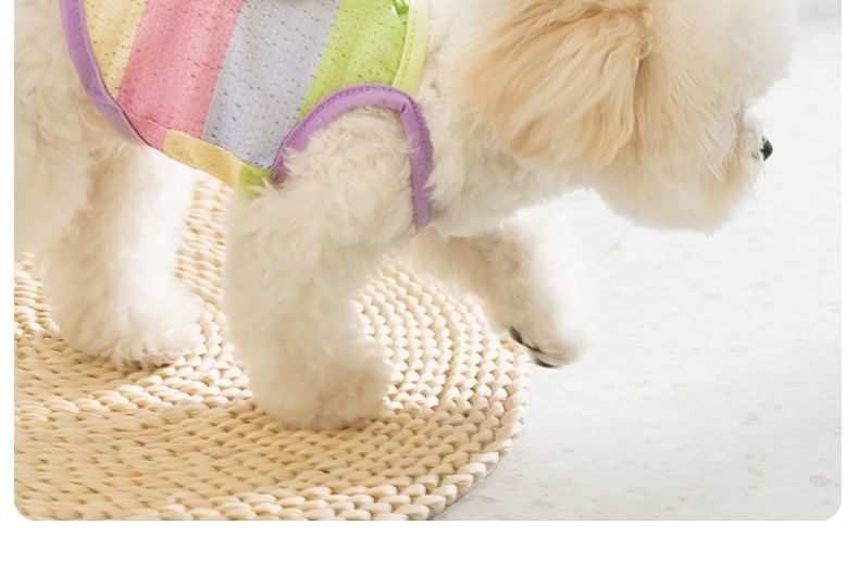 Cissilli - Wolkengestreepte Pet Top