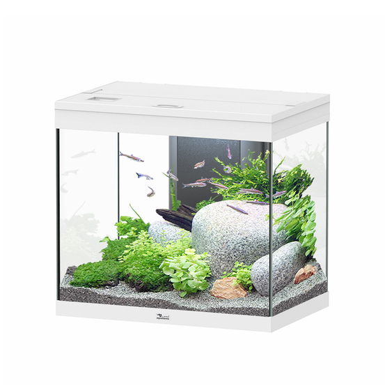 Aquarium équipé Splendid Led 2.0 Blanc L.60xP.40xH.56cm