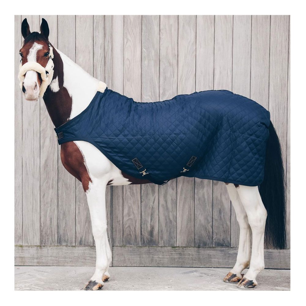 Kentucky 52105 160G - Couverture de marcheur navy