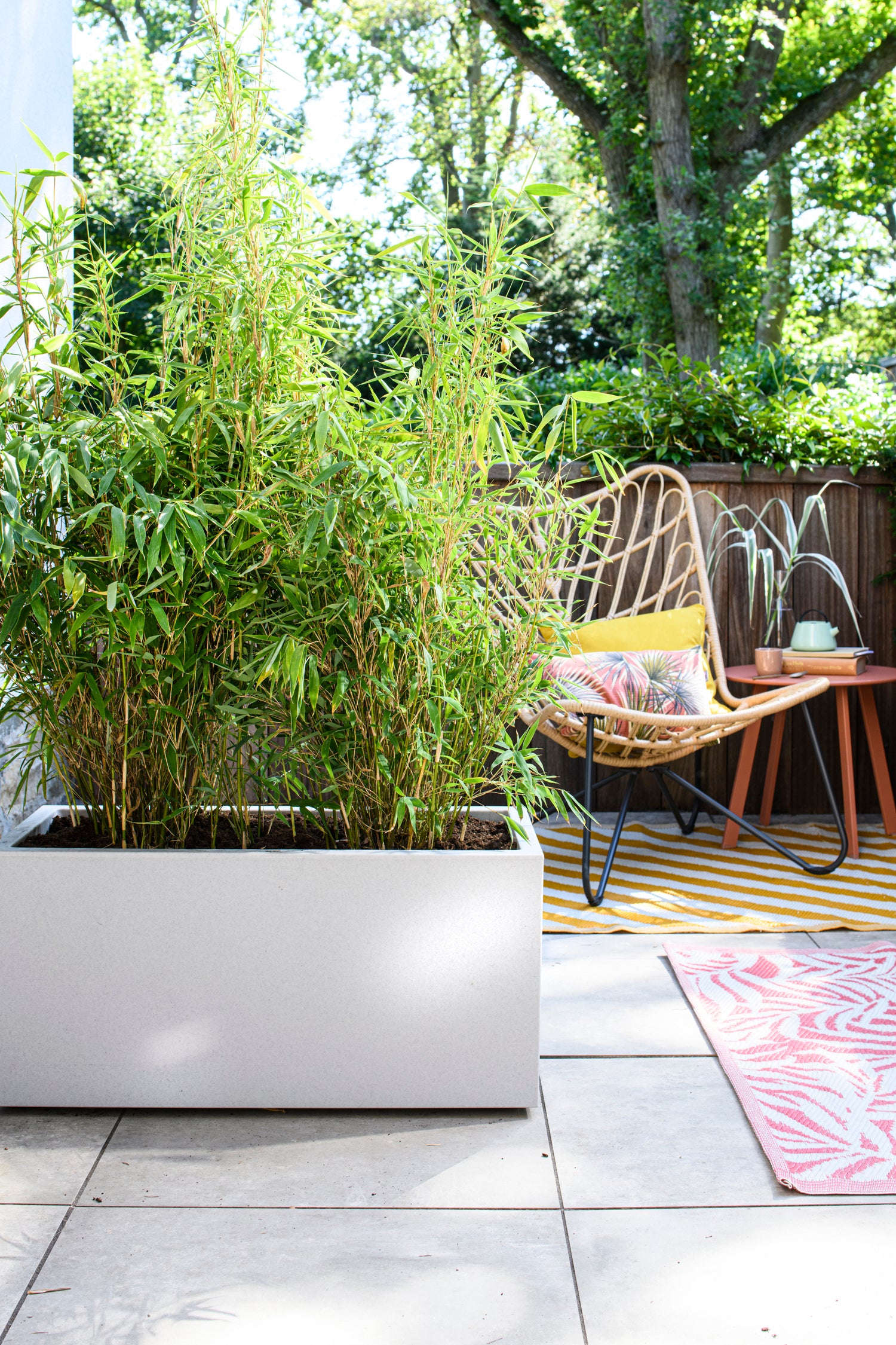 Intratuin loungestoel Vlinder naturel