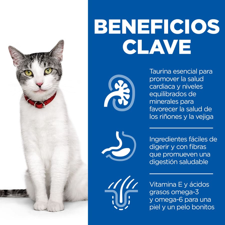 Ração para gatos Hill's Science Plan Senior 11+ sabor frango