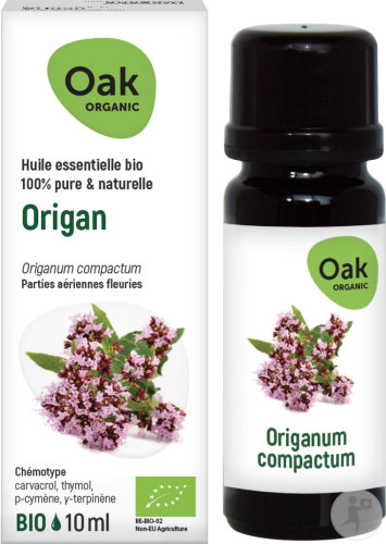 Oak Organic Origan Huile Essentielle 100% Pure Et Naturelle Flacon 10ml