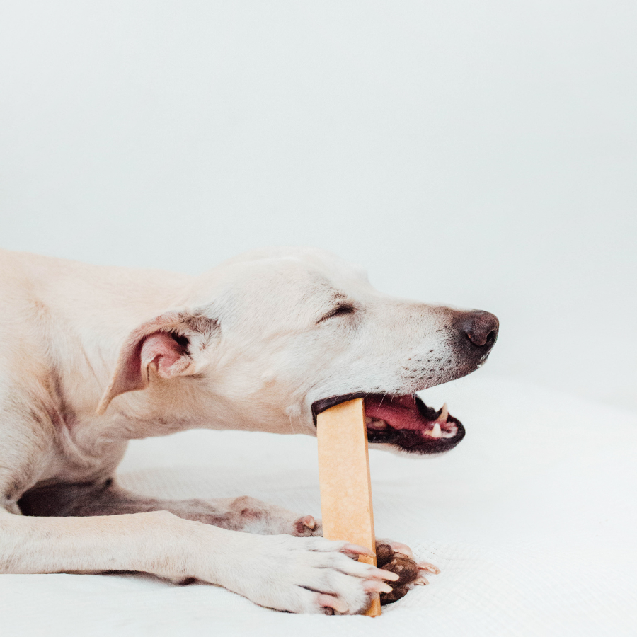 BIMORBOX Pequeno - Pacote de Petiscos e Brinquedos Naturais para Cães