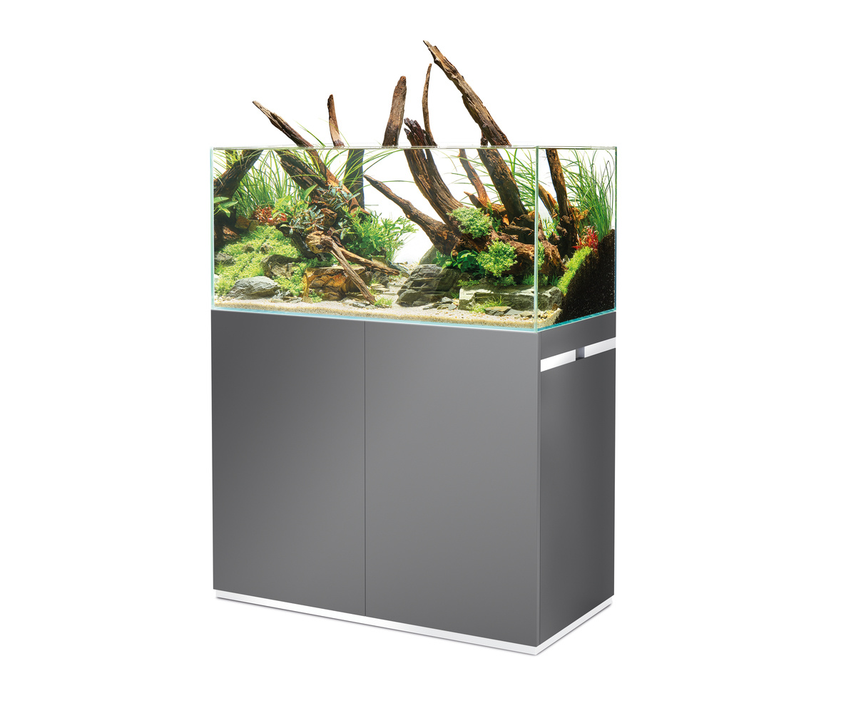 Oase ScaperLine 100 Set Grijs | Aquascaping