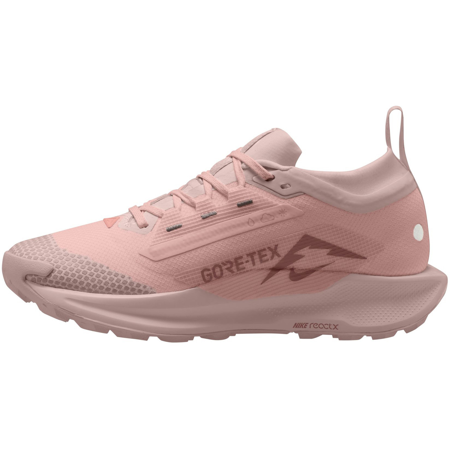 Nike Pegasus Trail 5 GTX Dames