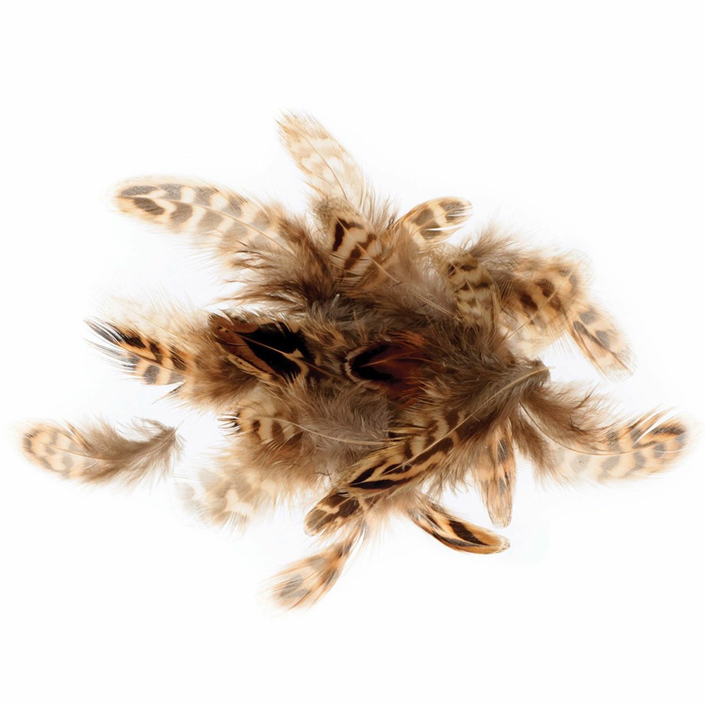 Plumes tigrées 3-6 cm - 3 g