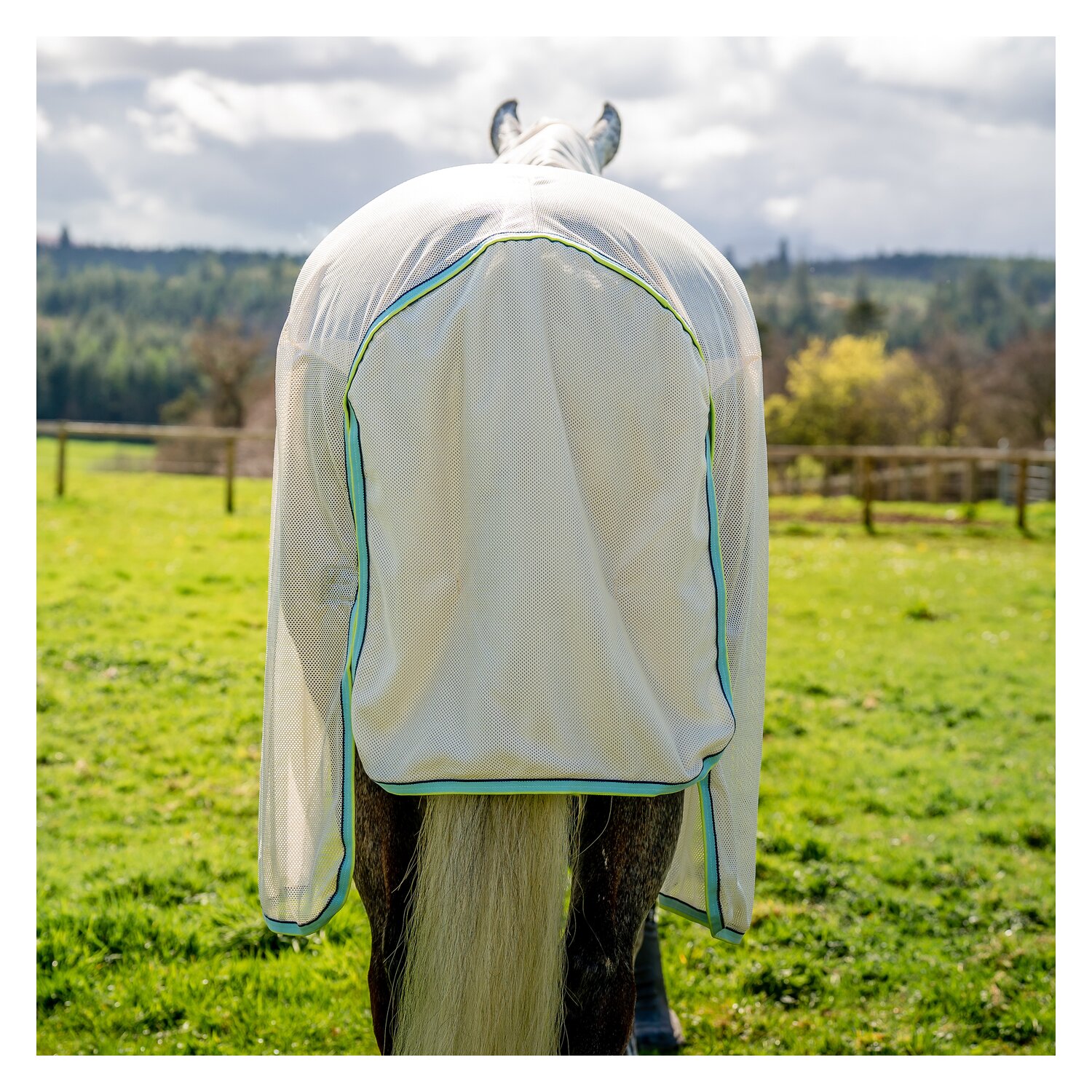 HORSEWARE Fliegendecke AMIGO Bug Buster  - chalk/navy/blue/haze