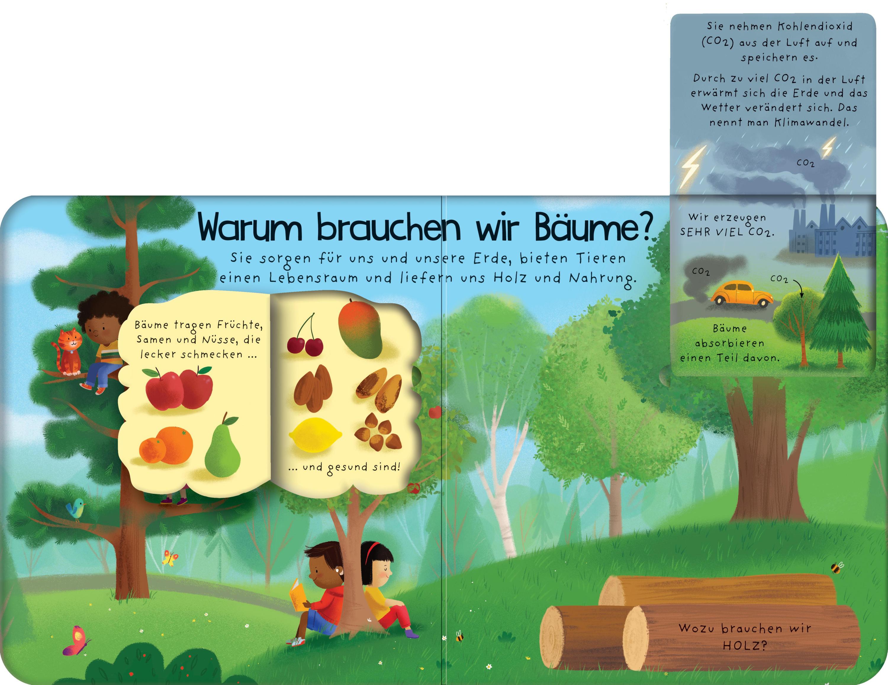 Erstes-Aufklappen-und-Verstehen-Reihe / Erstes Aufklappen und Verstehen: Warum brauchen wir Bäume?