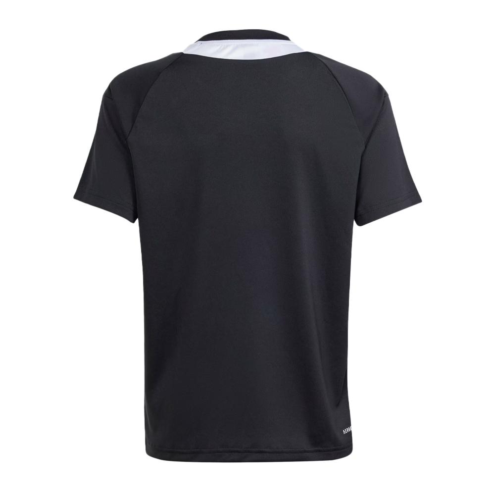 Adidas T-shirt Noir Garçon Adidas Sere