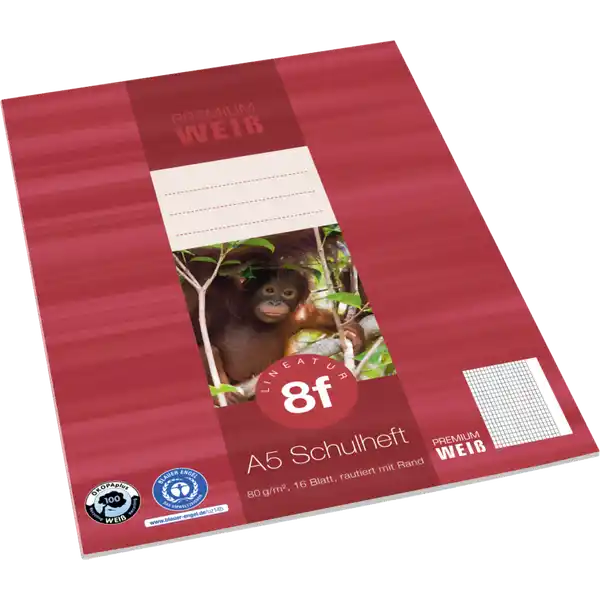 A5 Schulheft, Lin. 8f, rautiert mit Rand, 16 Blatt