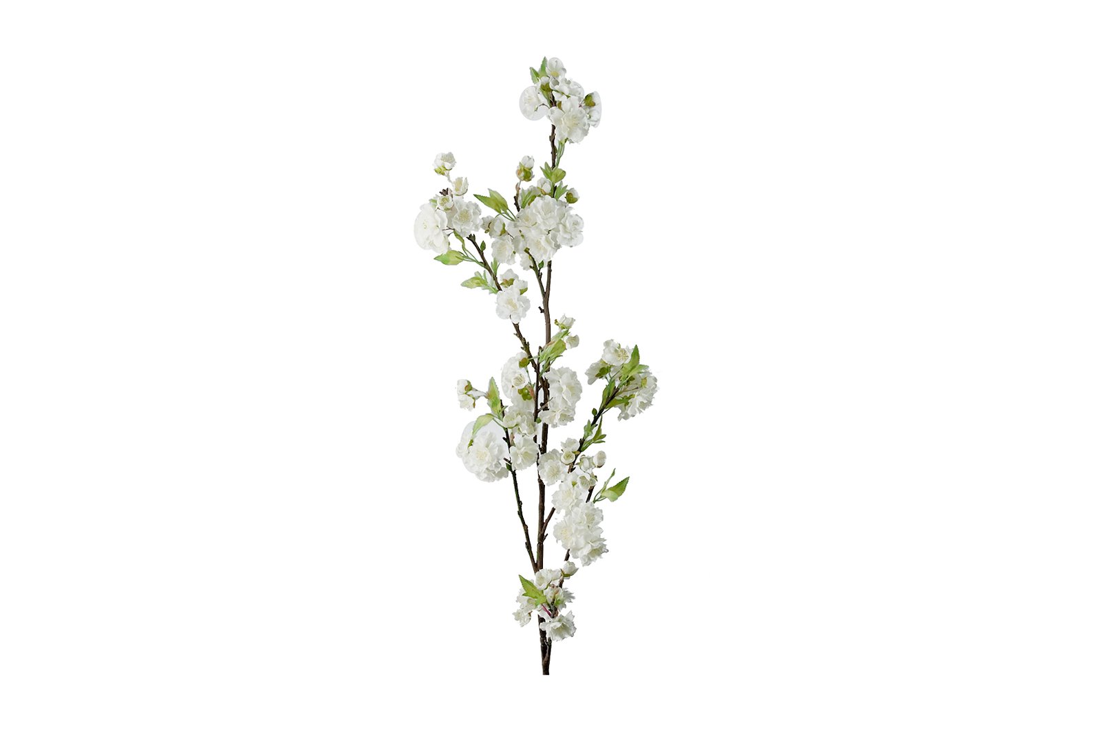 Kirsebærblomst kvist Grønn/hvit. H120 cm