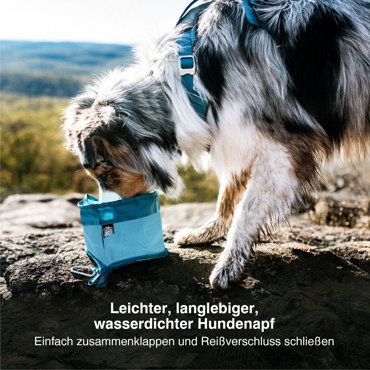Kurgo Zusammenklappbarer Futter- und Wassernapf für Hunde