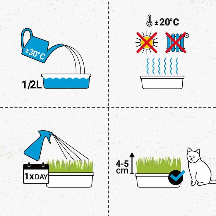 Gimpet Soft Gras für Katzen, 100 g