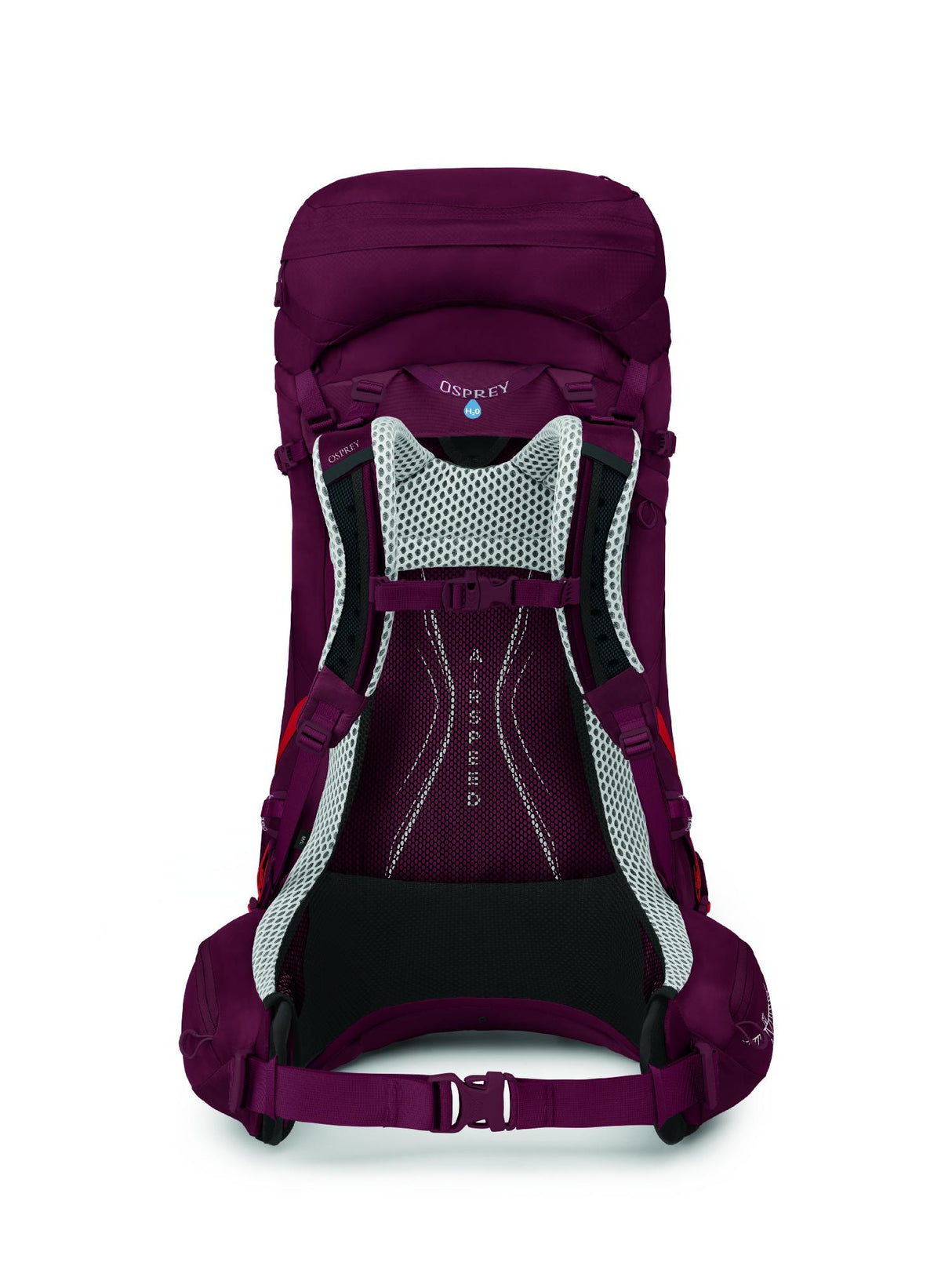 Osprey<br>Aura AG LT 50