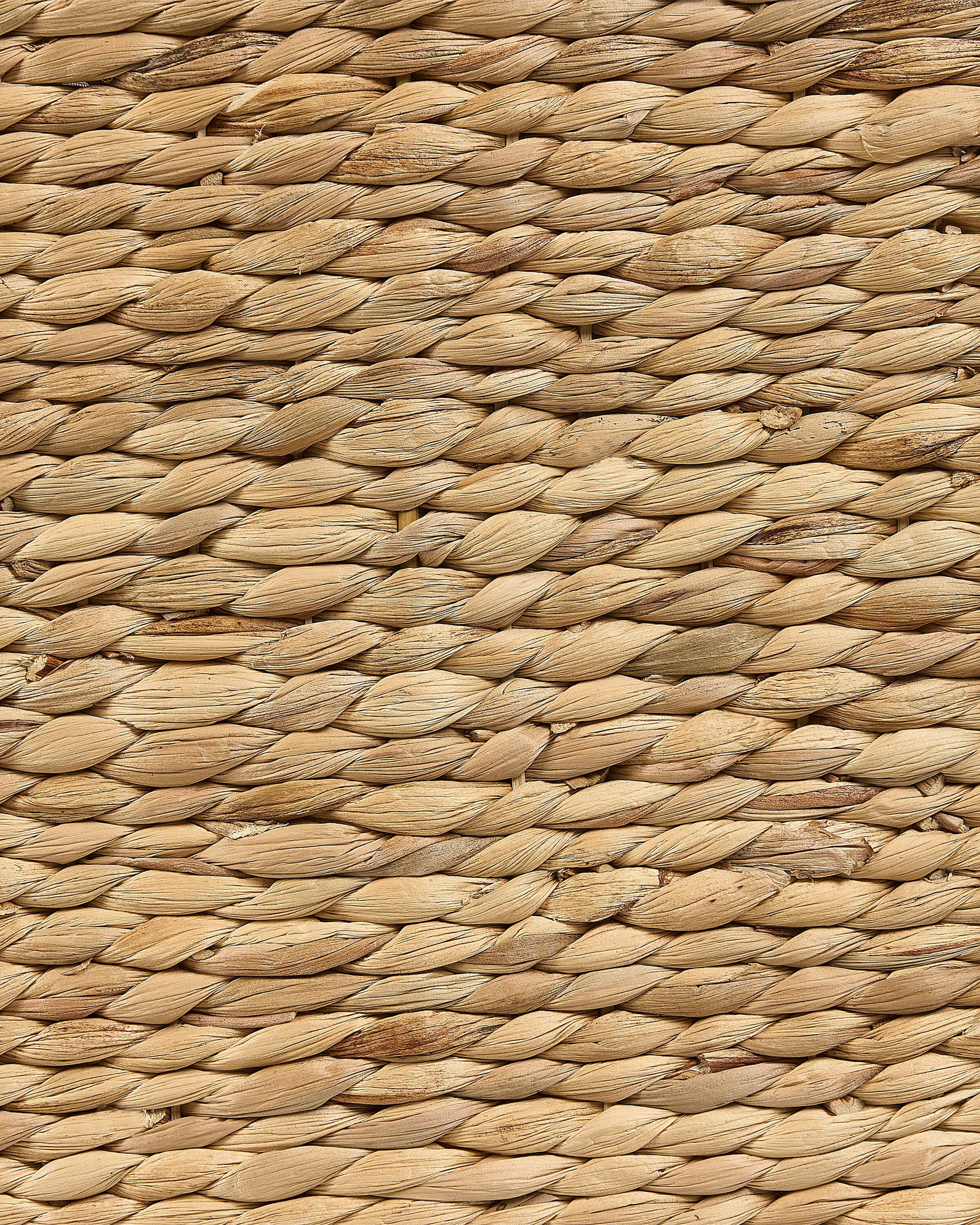 Mand LANGSON Wicker Natuurlijk 75 L