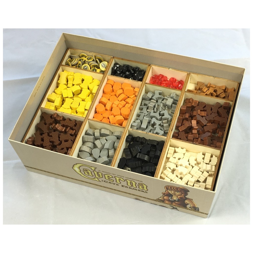 Organizer - Caverna